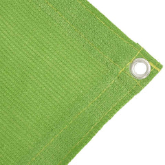 vidaXL Tent Carpet Light Green 300x400 cm HDPE 4