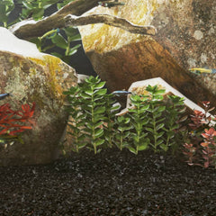 vidaXL Aquarium Sand 25 kg Black 0.2-2 mm 1