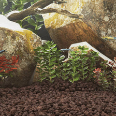 vidaXL Volcanic Rocks 25 kg Red 5-8 cm 1