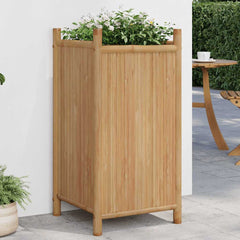 Planter Bamboo 40 cm 80 cm 40 cm