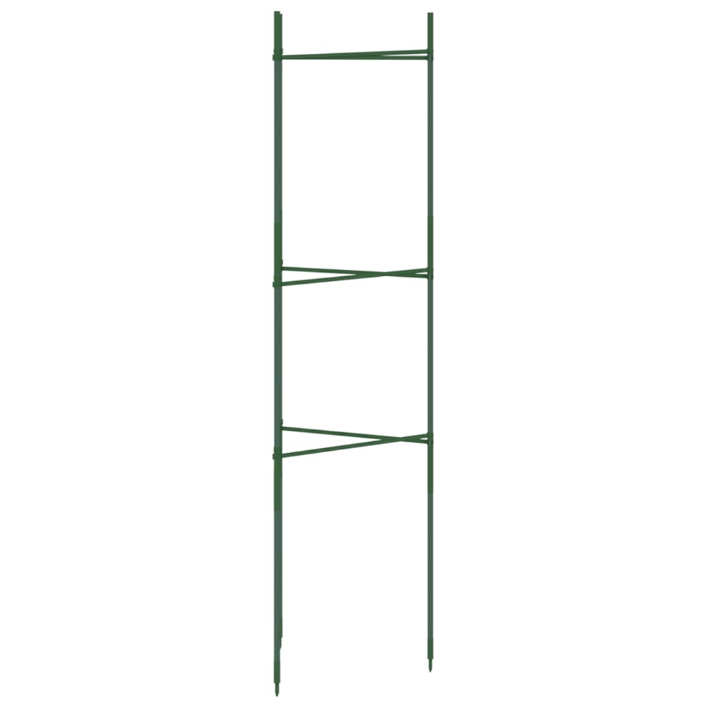 Tomato Cages Steel and PP Without bag 4