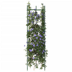 Tomato Cages Steel and PP Without bag 6