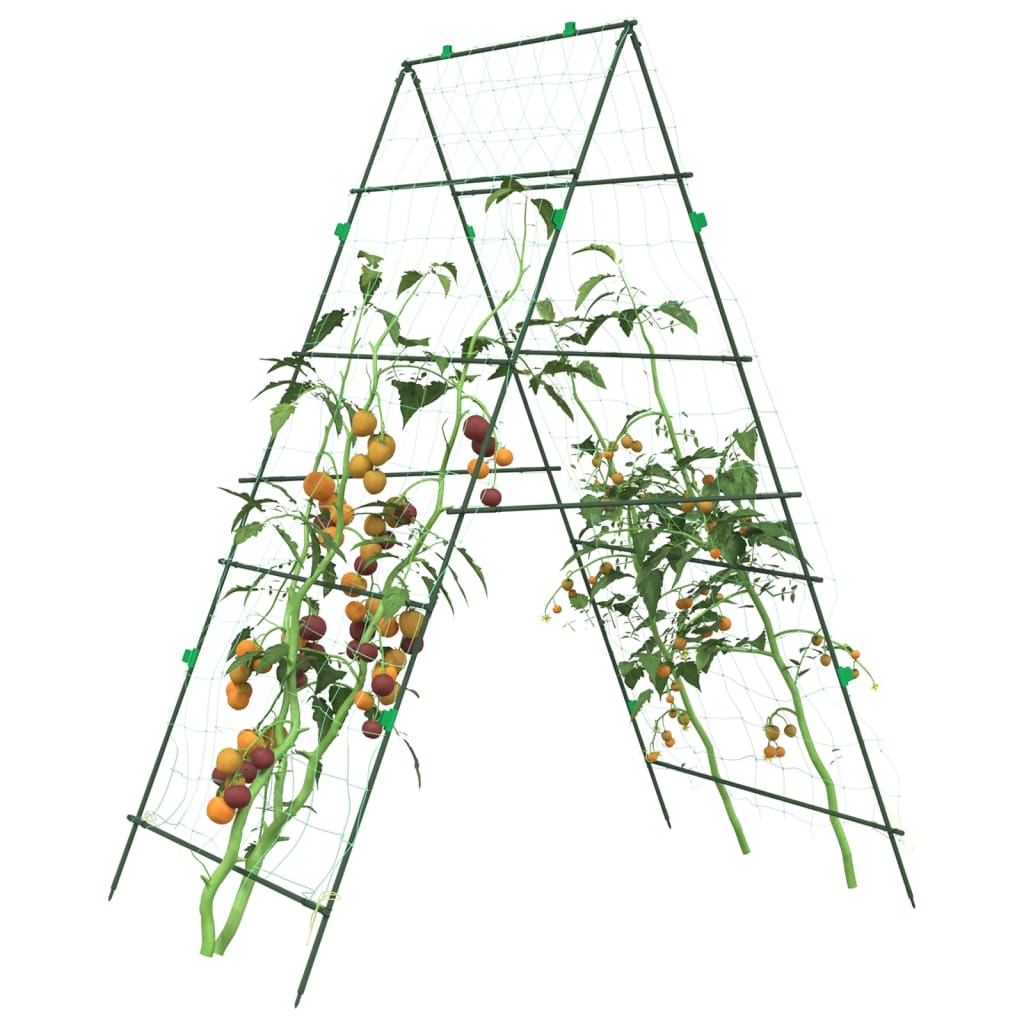 Garden Trellises for Climbing Plants A-Frame Steel 2