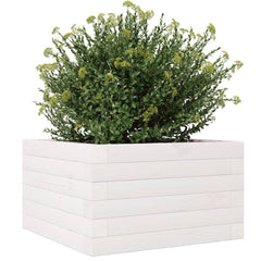 vidaXL Garden Planter White 40x40x23 cm Solid Wood Pine 4