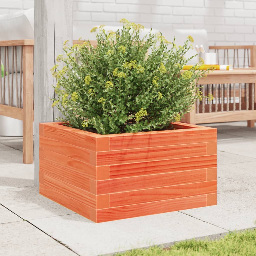 Garden Planter Solid Wood Pine Open bottom Height 23 cm Wax brown 40 cm 40 cm