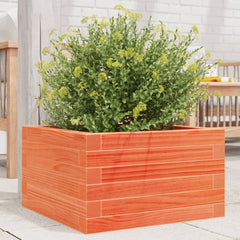 Garden Planter Solid Wood Pine Open bottom Height 23 cm Wax brown 40 cm 40 cm