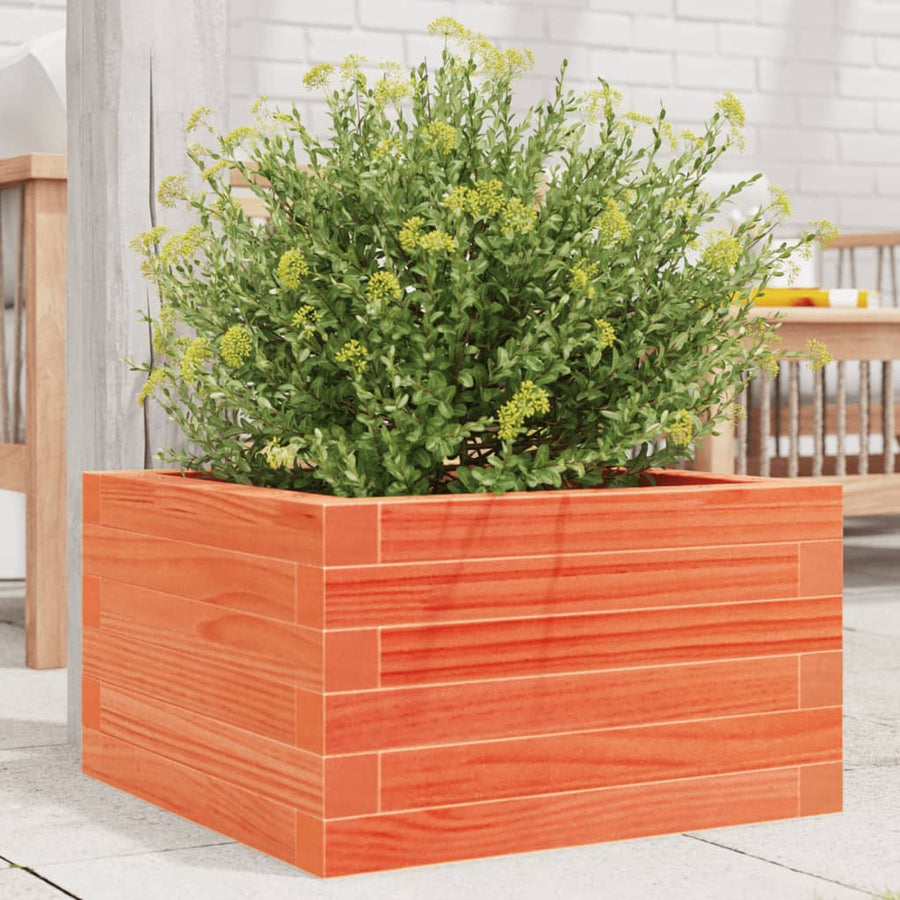 vidaXL Garden Planter Wax Brown 40x40x23 cm Solid Wood Pine 1