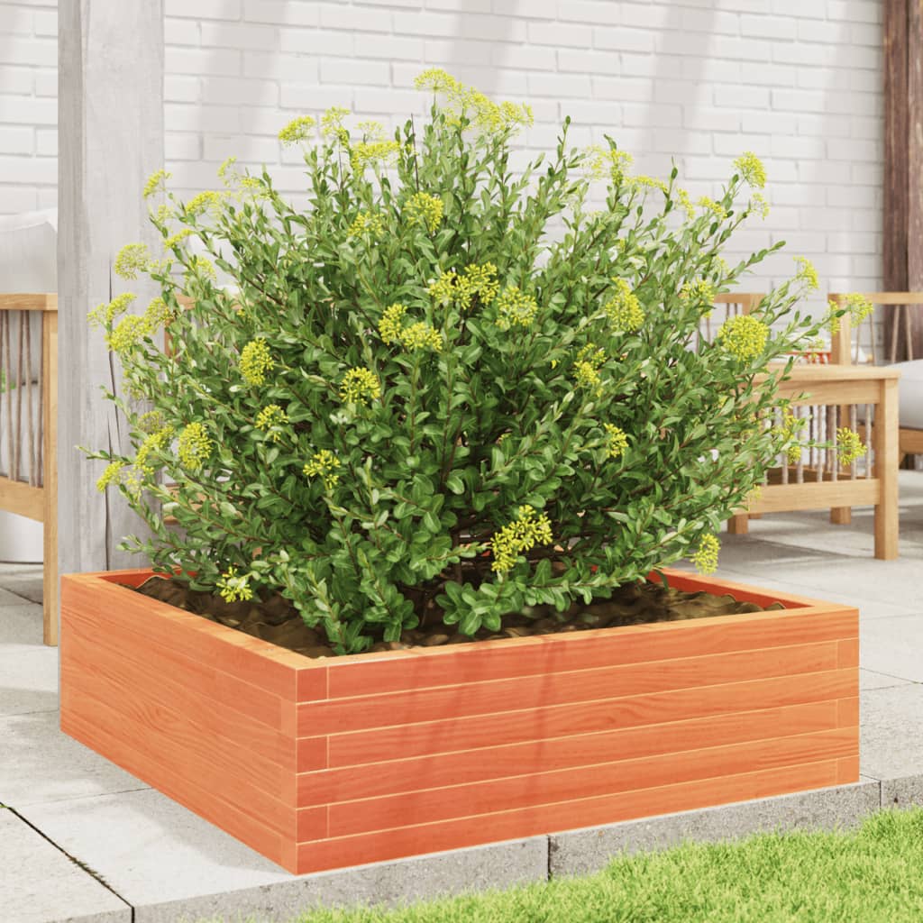 Garden Planter Solid Wood Pine Open bottom Height 23 cm Wax brown 80 cm 80 cm