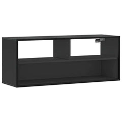 vidaXL TV Cabinet Black 100x31x39.5 cm Engineered Wood and Metal 2