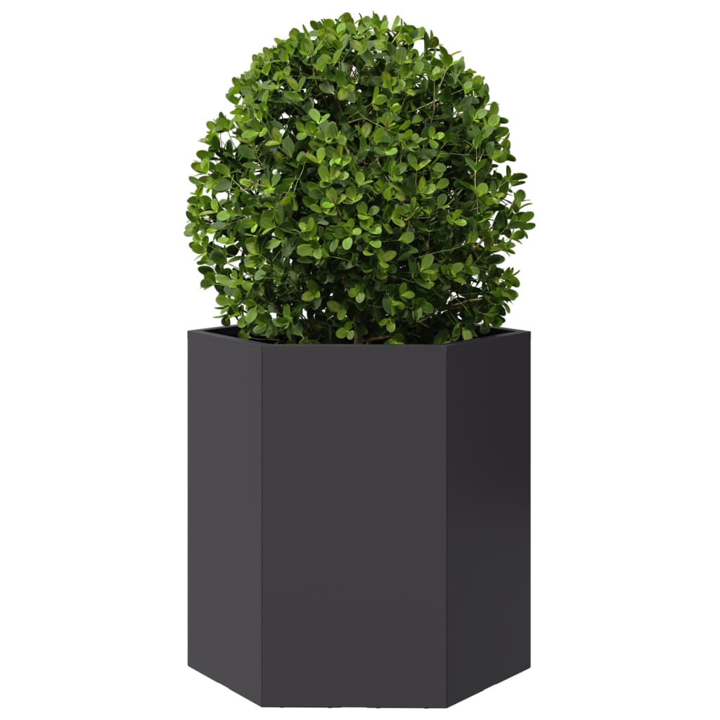 vidaXL Garden Planter Black Hexagon 46x40x45 cm Steel 3