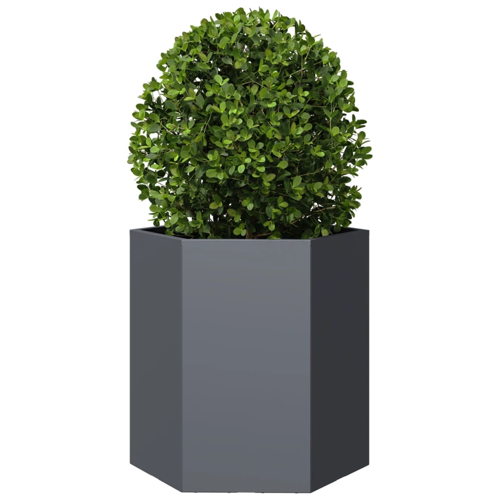 vidaXL Garden Planter Anthracite Hexagon 46x40x45 cm Steel 3