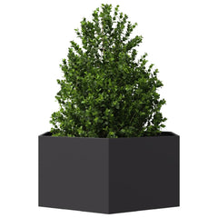 vidaXL Garden Planter Black Hexagon 104x90x45 cm Steel 3