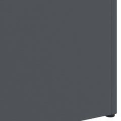 vidaXL Rain Umbrella Stand Anthracite 28 x 12 x 41 cm Steel 6
