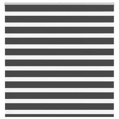 vidaXL Zebra Blind Black 145x100 cm Fabric Width 140.9 cm Polyester 1
