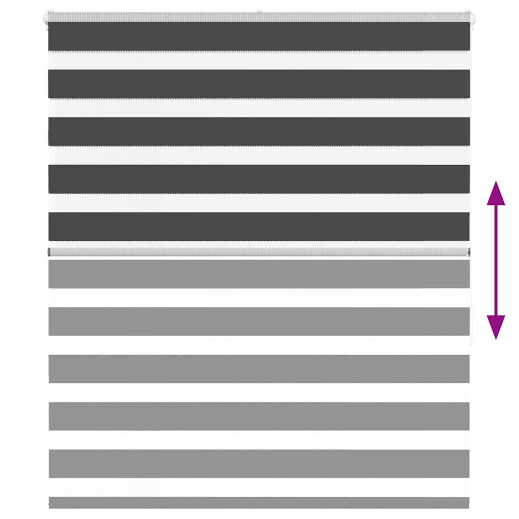 vidaXL Zebra Blind Black 125x150 cm Fabric Width 120.9 cm Polyester 5