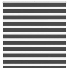 vidaXL Zebra Blind Black 150x150 cm Fabric Width 145.9 cm Polyester 1