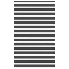 vidaXL Zebra Blind Black 150x200 cm Fabric Width 145.9 cm Polyester 1