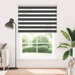 Zebra Blind Black