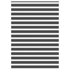 vidaXL Zebra Blind Black 165x200 cm Fabric Width 160.9 cm Polyester 1