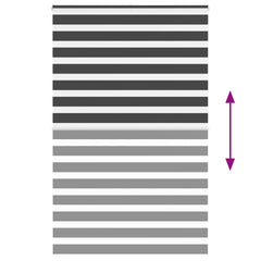 vidaXL Zebra Blind Black 150x230 cm Fabric Width 145.9 cm Polyester 5