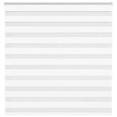 Zebra Blind White