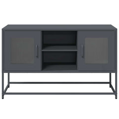 vidaXL TV Cabinet Anthracite 100.5x39x60.5 cm Steel 5