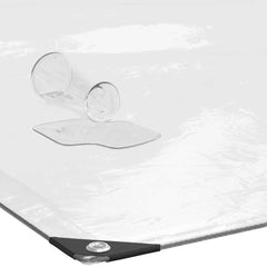 vidaXL Clear Tarpaulin with Eyelets 2x12 m Polyethylene 4