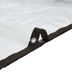 vidaXL Clear Tarpaulin with Eyelets 3x10 m Polyethylene 5