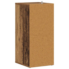 vidaXL Shoe Cabinet 32 x 35 x 70 cm Old Wood 5