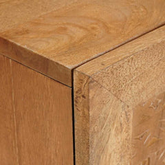 vidaXL TV Units with Door Light Brown 105 x 33 x 46 cm Engineered wood 6