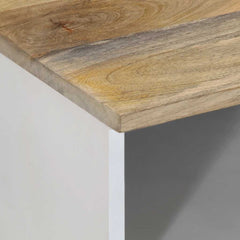 vidaXL TV Cabinet 100x33.5x46 cm Solid Wood Mango 6
