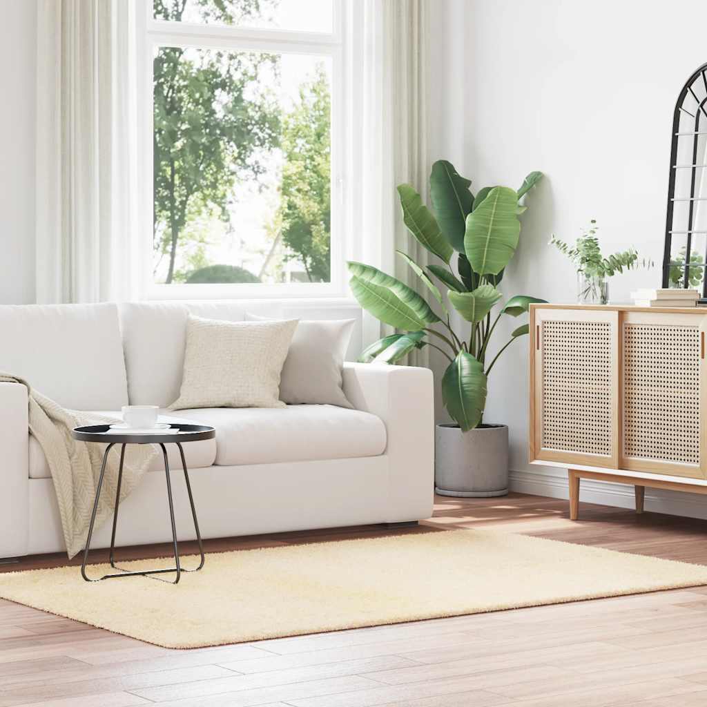 vidaXL Shaggy Rug High Pile NAVARRA Cream 130x200 cm Polyester 1