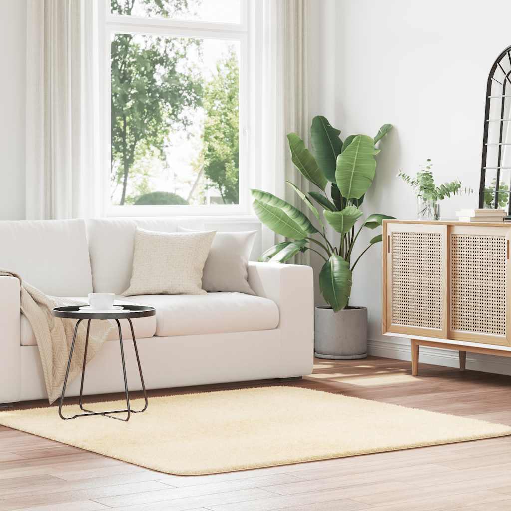vidaXL Shaggy Rug High Pile NAVARRA Cream 160x160 cm Polyester 1