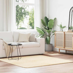 vidaXL Shaggy Rug High Pile NAVARRA Cream 160x160 cm Polyester 1