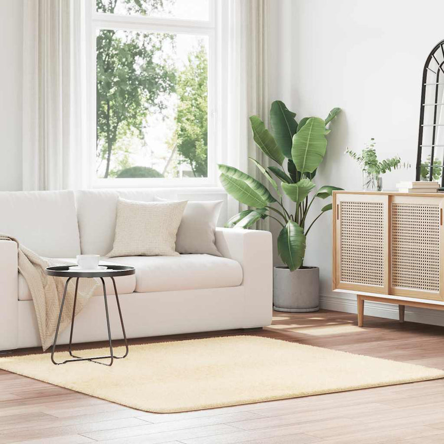 vidaXL Shaggy Rug High Pile NAVARRA Cream 160x160 cm Polyester 1