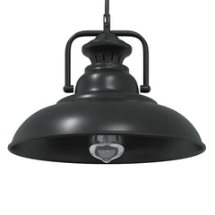 vidaXL Pendant Lamp E27 Black Ø 31 cm Iron 1