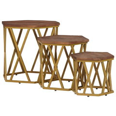 vidaXL Coffee Tables Brown 55 x 55 x 50 cm Solid Mango Wood 3