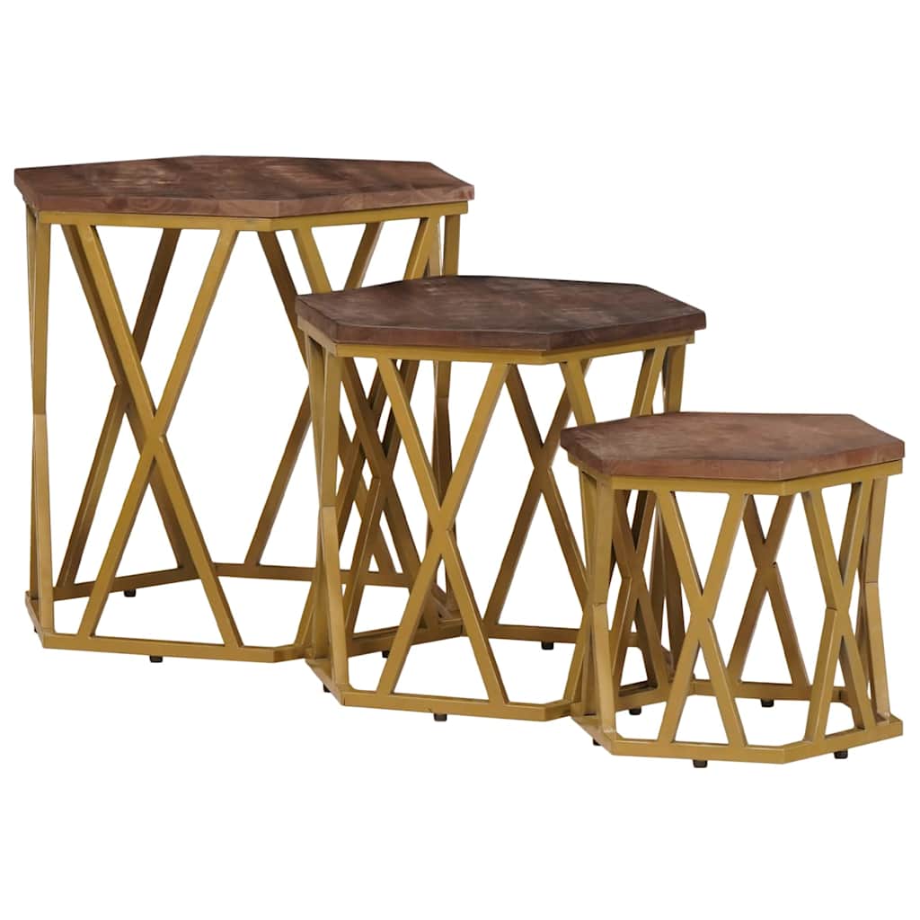 vidaXL Coffee Tables Brown 55 x 55 x 50 cm Solid Mango Wood 4