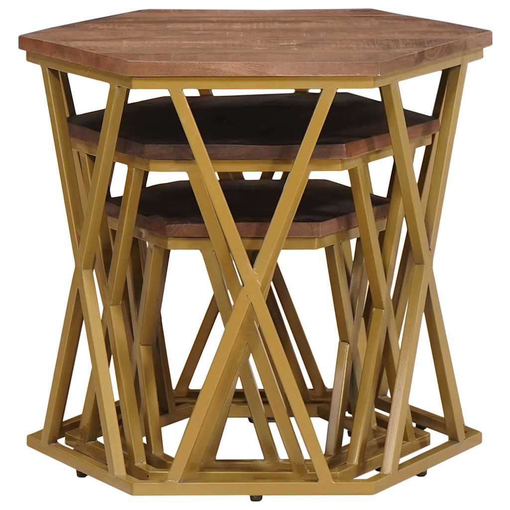 vidaXL Coffee Tables Brown 55 x 55 x 50 cm Solid Mango Wood 5