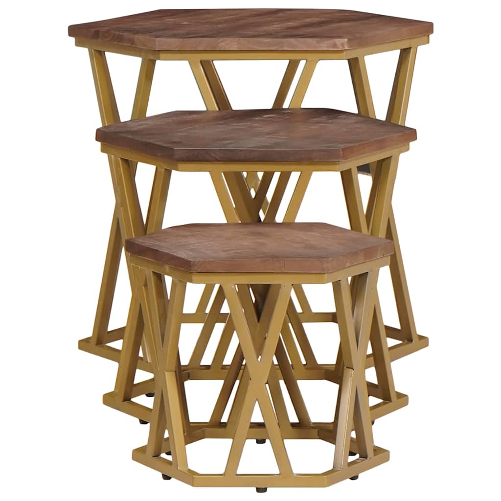 vidaXL Coffee Tables Brown 55 x 55 x 50 cm Solid Mango Wood 6