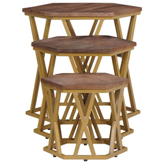 vidaXL Coffee Tables Brown 55 x 55 x 50 cm Solid Mango Wood 6