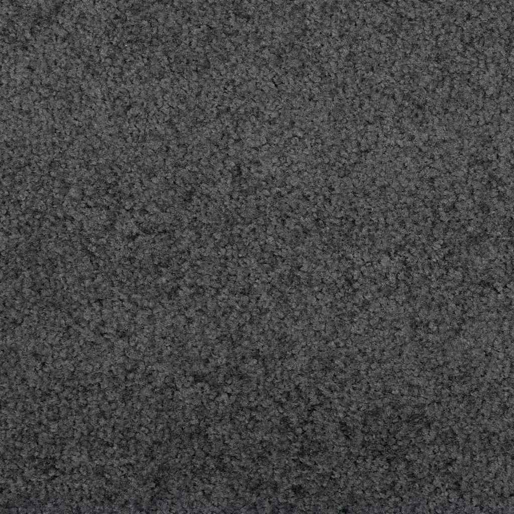 Doormat and Black 120 x 350 cm 100% Polyamide Anthracite