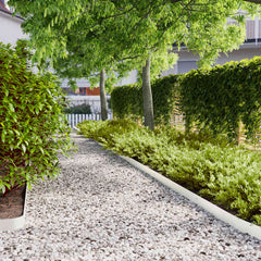 Lawn Edgings Cold-rolled Steel 50 pcs White 10 x 103 cm