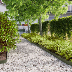 Lawn Edgings Cold-rolled Steel 50 pcs Olive green 10 x 103 cm