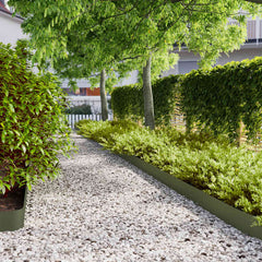 Lawn Edgings Cold-rolled Steel 50 pcs Olive green 15 x 103 cm