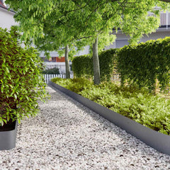 Lawn Edgings Cold-rolled Steel 10 pcs 20 x 103 cm Anthracite