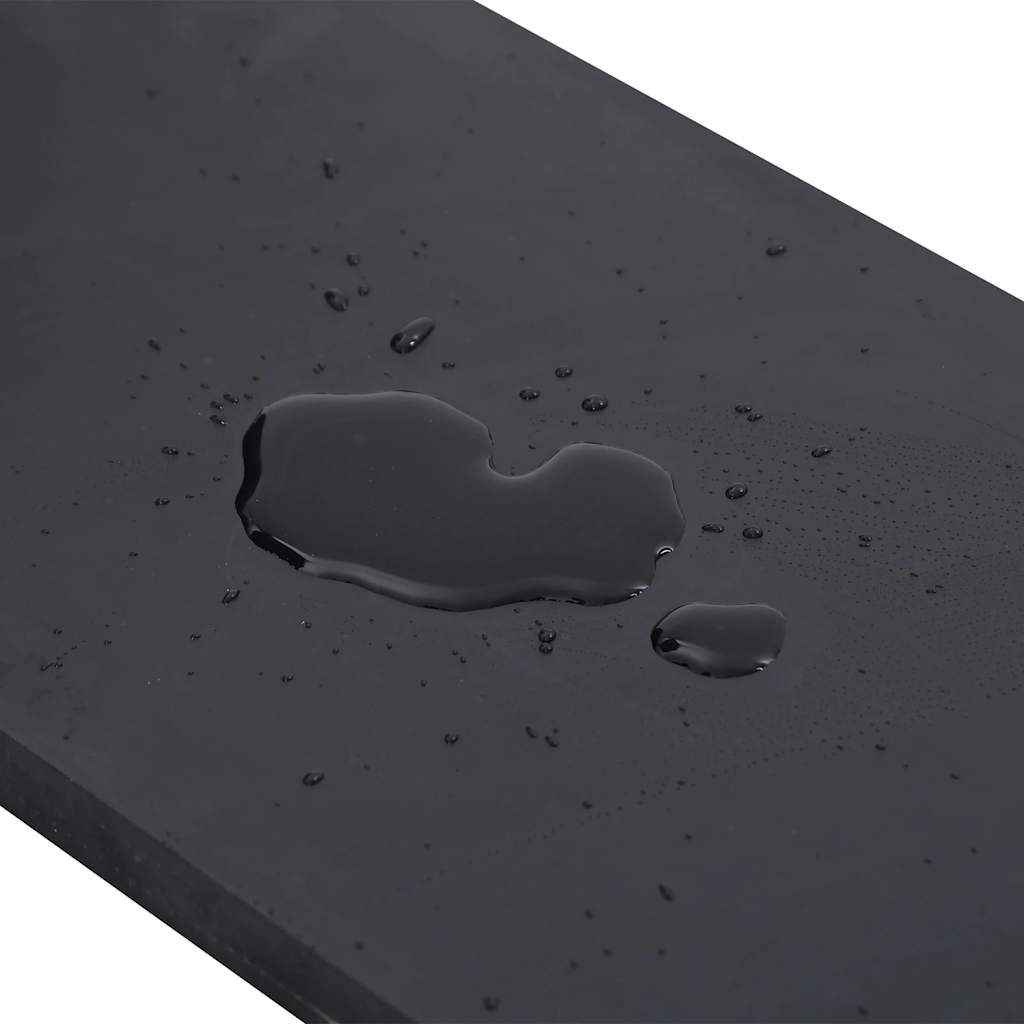 vidaXL Rubber Edge for Snow Plow Black 250x15x1 cm 5