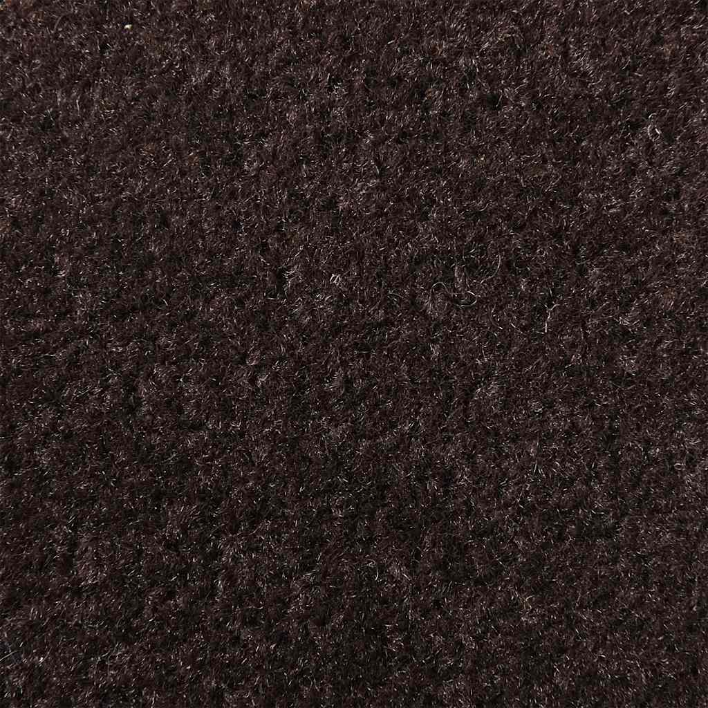 vidaXL Doormat Brown 90x150 cm 6