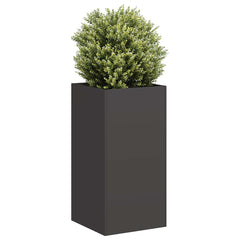 vidaXL Planter Black 40x40x80 cm Cold-rolled Steel 1