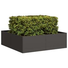 vidaXL Planter Black 100x100x30 cm Steel 1